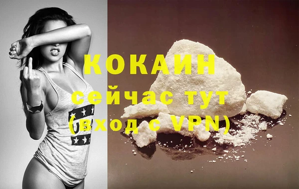 ешки Михайлов